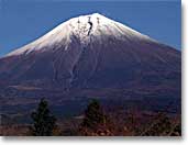 shizuoka2