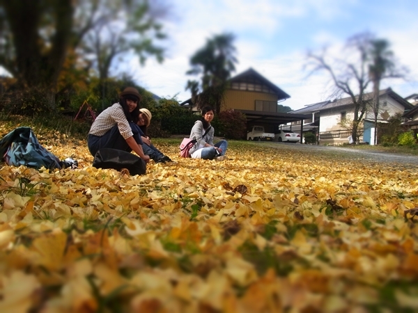เรียนต่อญี่ปุ่น ใบไม้ร่วง