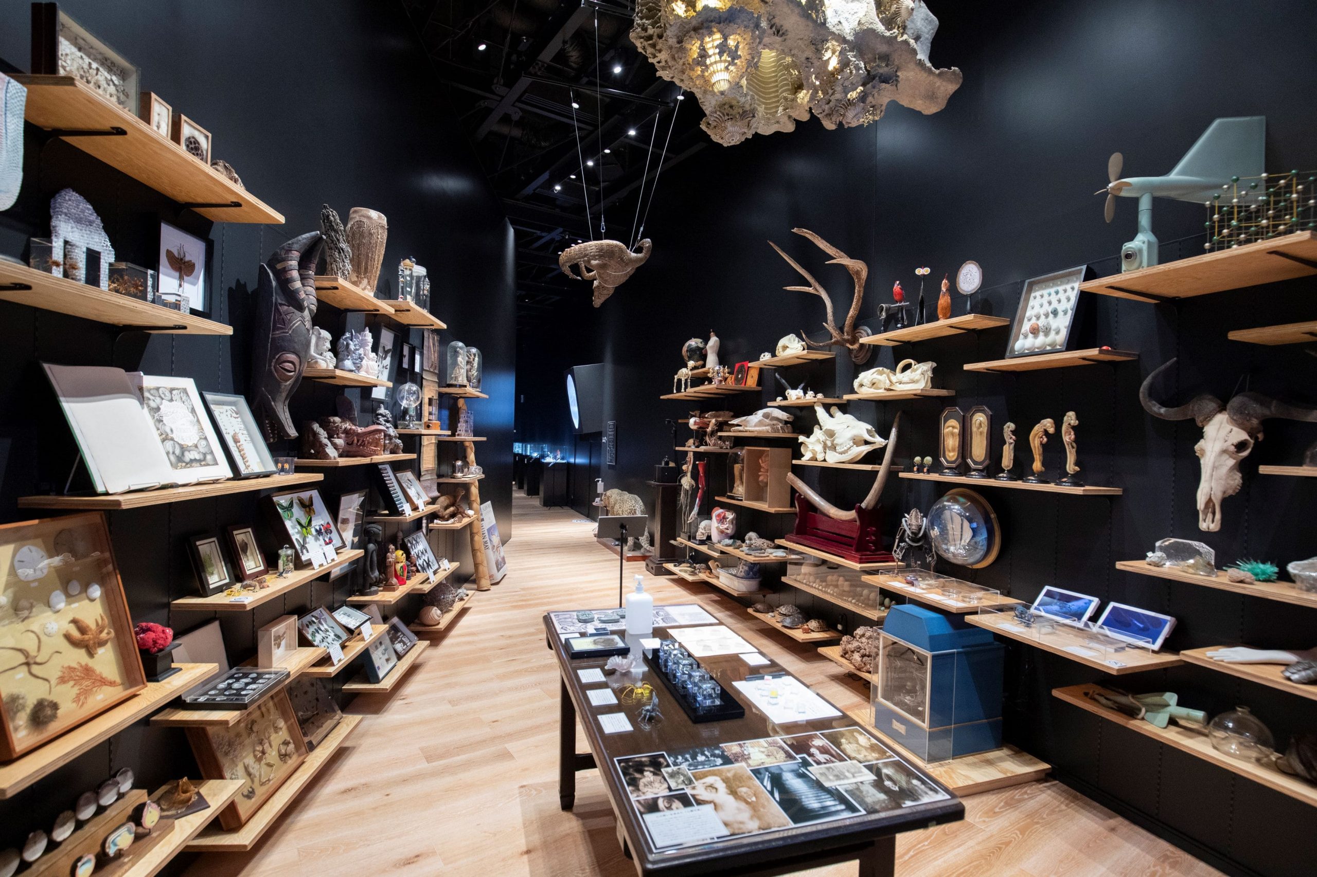 ค่าย Tokyo anime creator ทัศนศึกษา Kadokawa culture museum