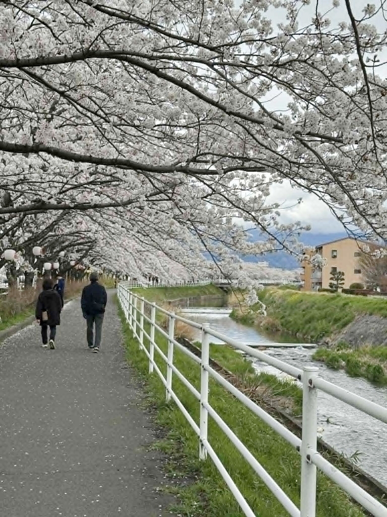 จาก Introvert ที่กลัวการเดินทางคนเดียว สู่หนึ่งปีที่เปลี่ยนชีวิต ณ Unitas Japanese Language School